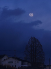 夕月