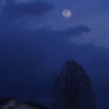 夕月