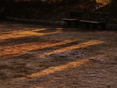 朝のぬくもり、、。