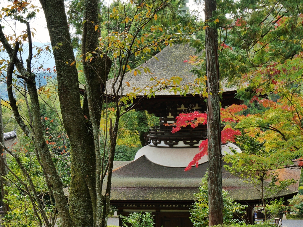 石山寺・多宝塔の紅葉
