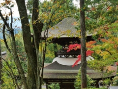 石山寺・多宝塔の紅葉