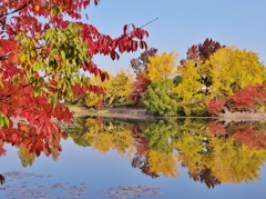 遊園地跡の紅葉2