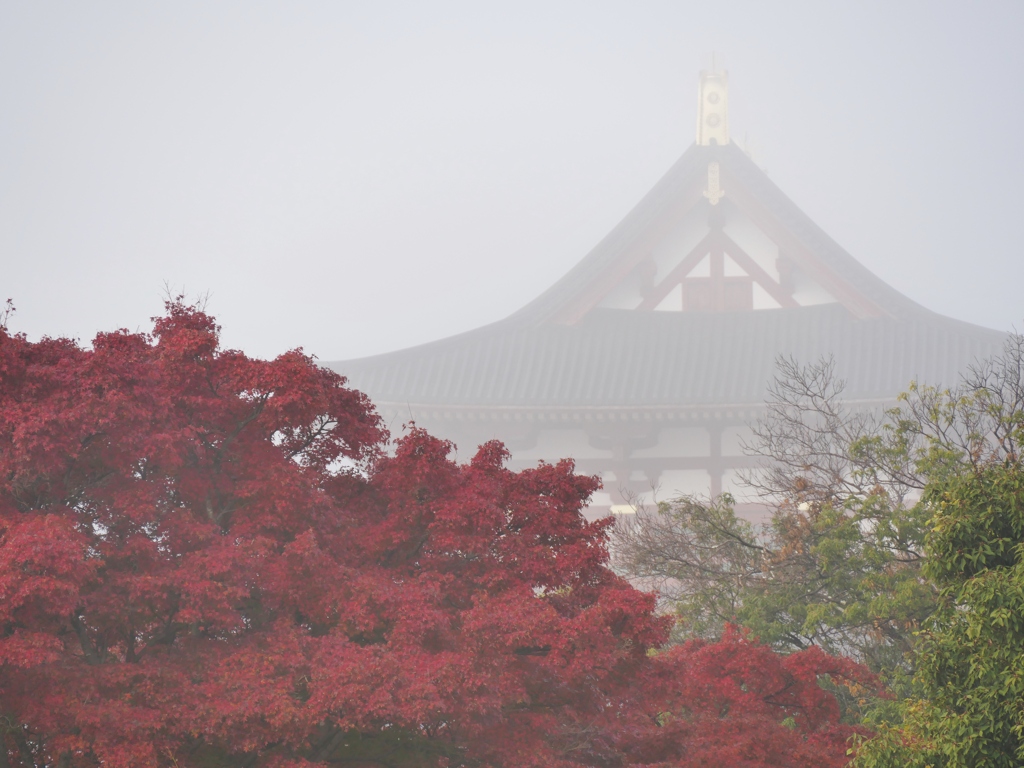霧の平城京6