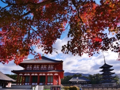 奈良興福寺伽藍の紅葉