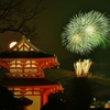 奈良公園バースディ花火1