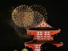 奈良公園バースディ花火4