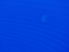 波紋と月