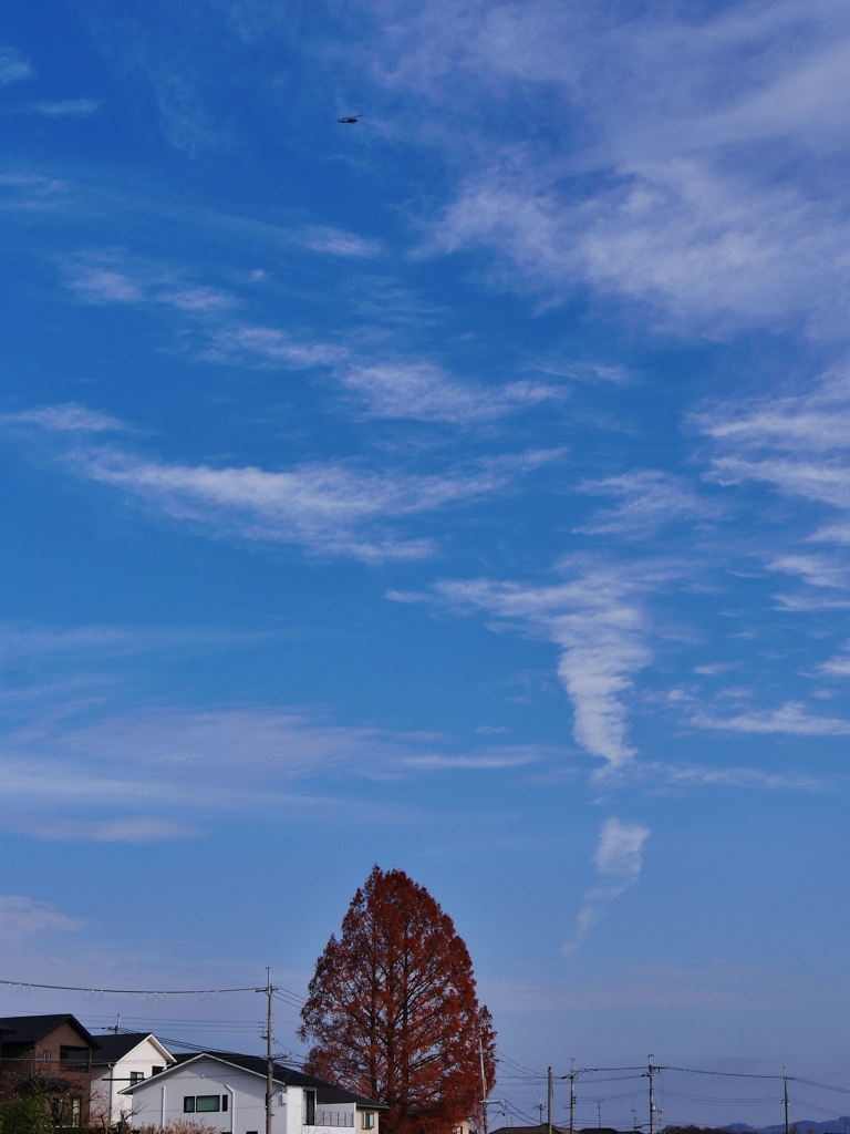 晩秋の青空 2