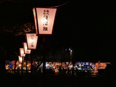 お城まつり夜景1