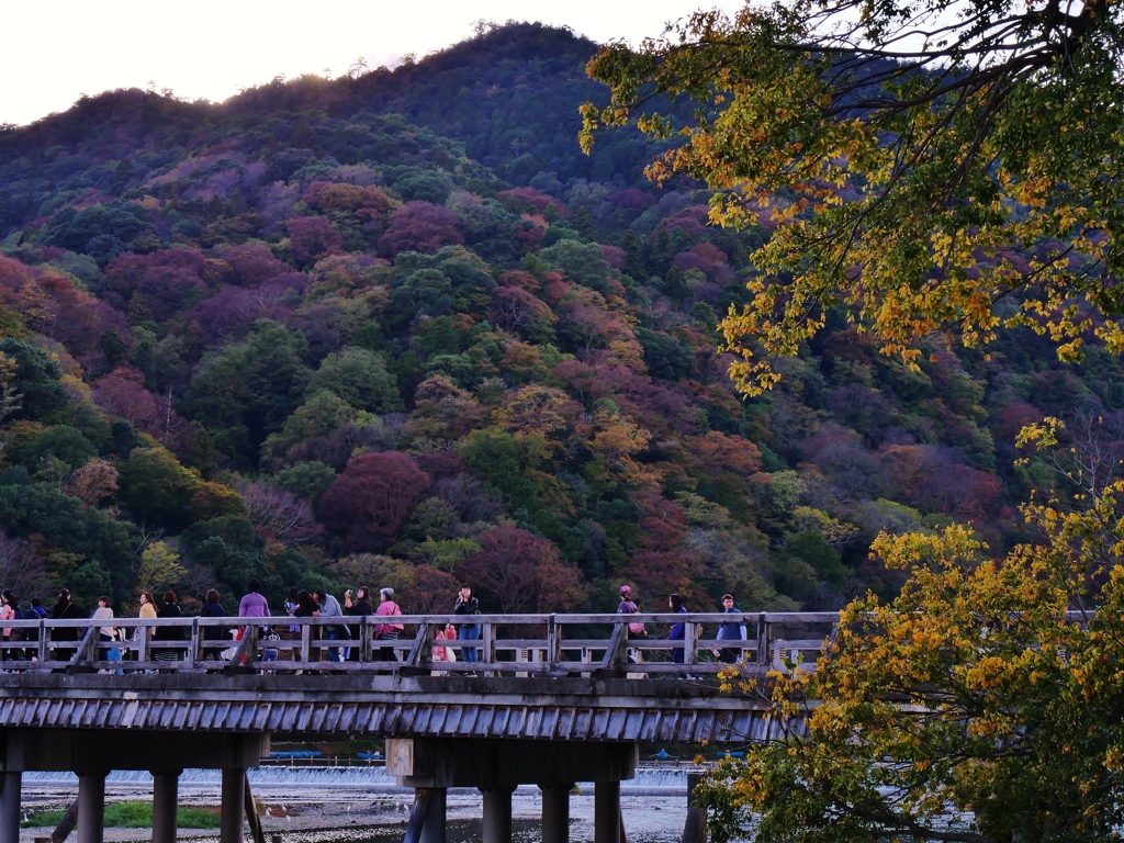 京都嵐山 1