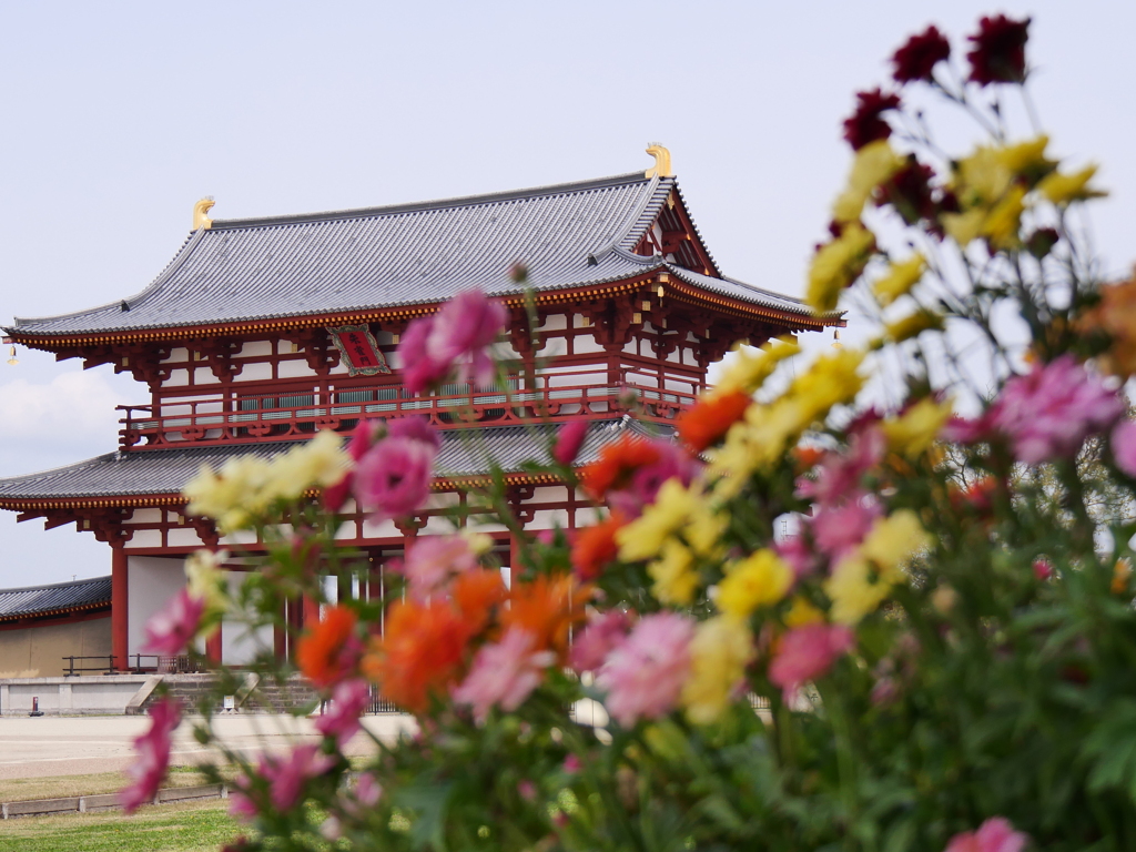 花と朱雀門