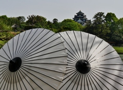 新緑の岡山城2