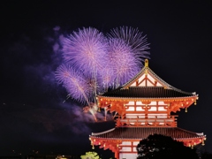 奈良公園バースディ花火2