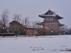 古都奈良にも雪が・・。1