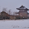 古都奈良にも雪が・・。1