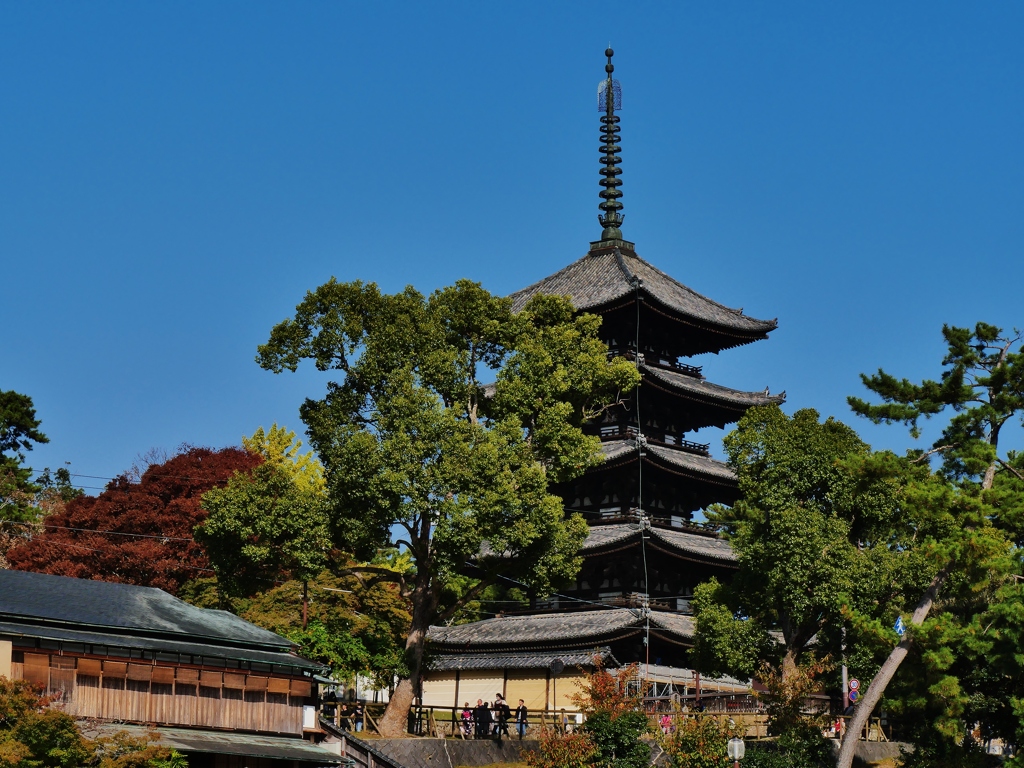 晩秋の五重塔 2