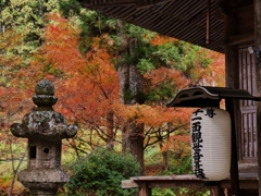 丹波篠山・高蔵寺本堂紅葉