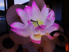 和傘に咲く蓮の花・・。