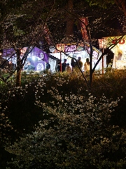 お城まつり夜景２