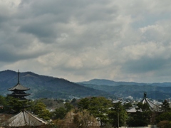 古都奈良・興福寺 1