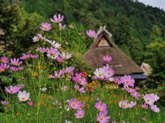 茅葺の里1