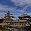 春の大仏殿