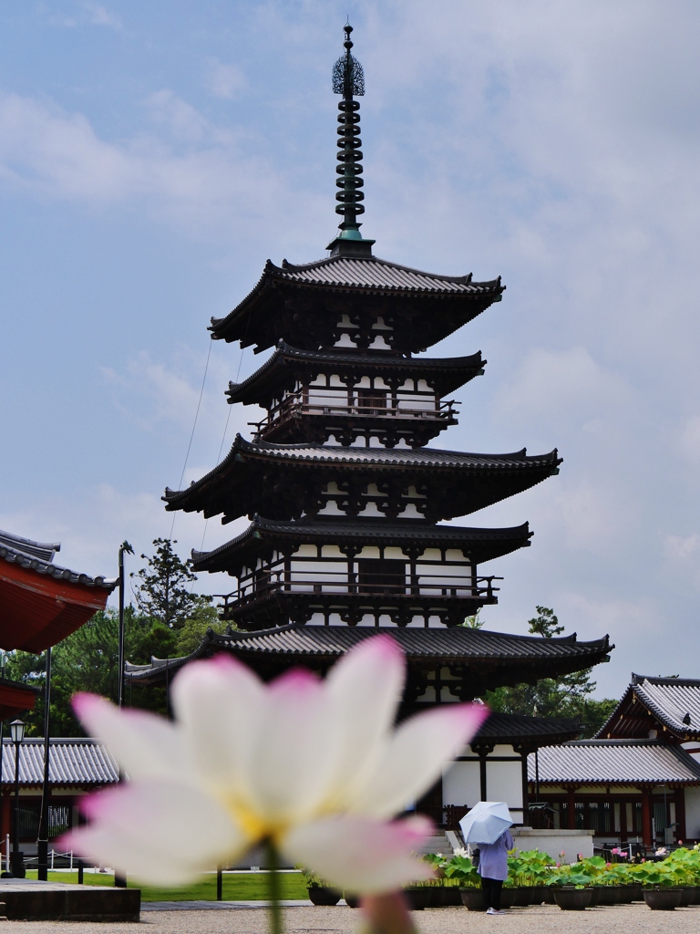 蓮と東塔