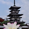 蓮と東塔