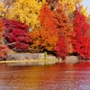 遊園地跡の紅葉 1