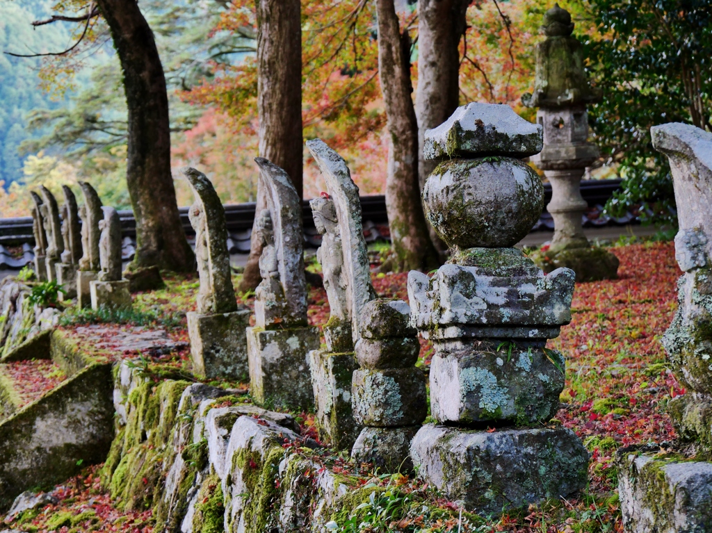 丹波篠山円通寺・石仏たちと紅葉 2