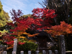 秋篠寺香水閣の紅葉2