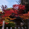 秋篠寺香水閣の紅葉2