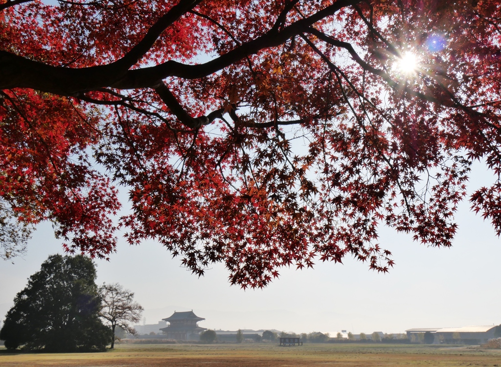 彩り平城京