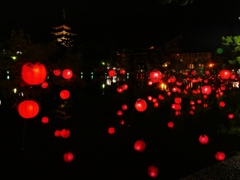 なら遊歩の猿沢池夜景・・。