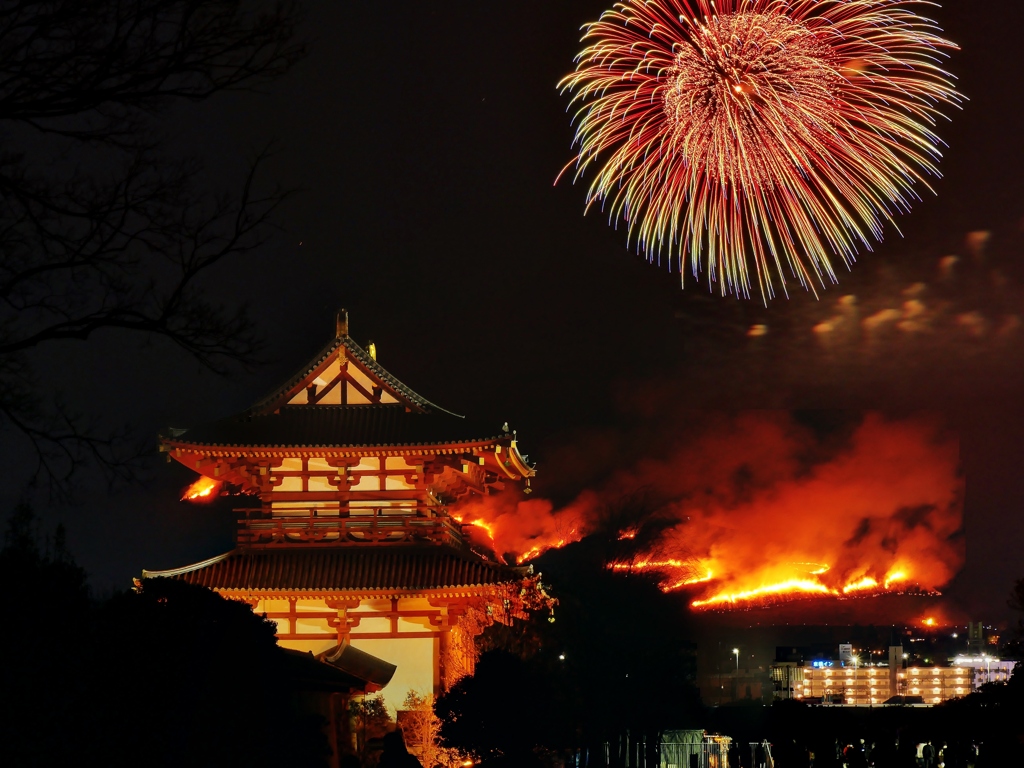 奈良・若草山山焼き 4