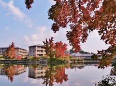 遊園地跡の紅葉1