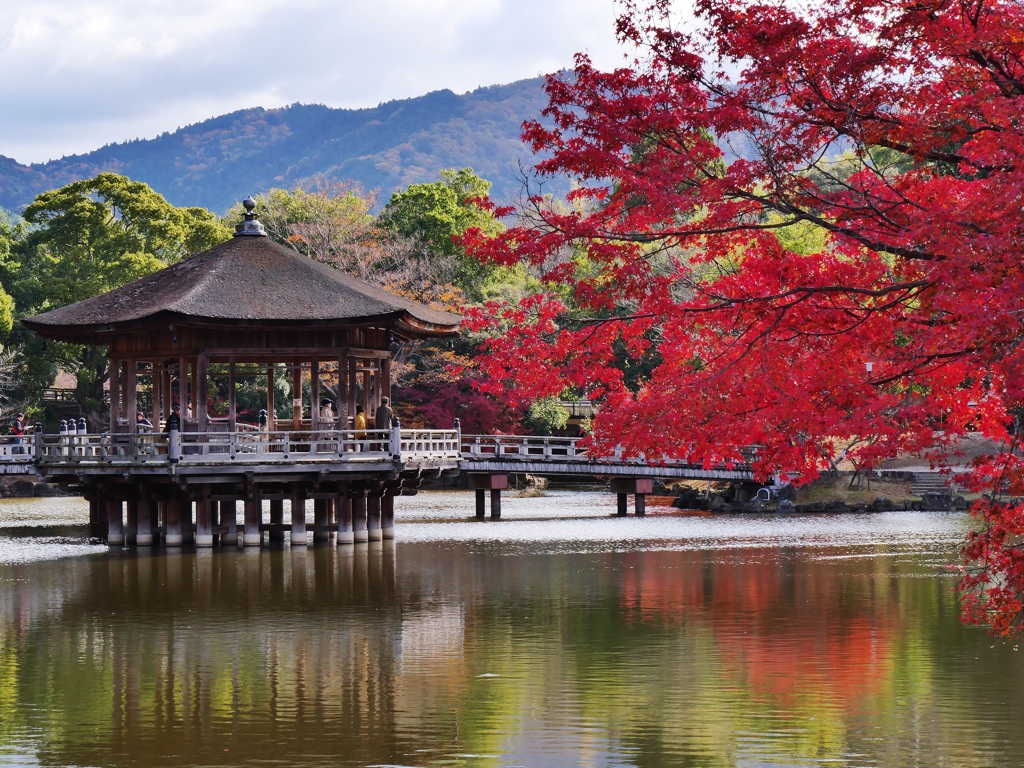 古都奈良の紅葉・浮見堂3