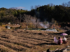 案山子のいる風景