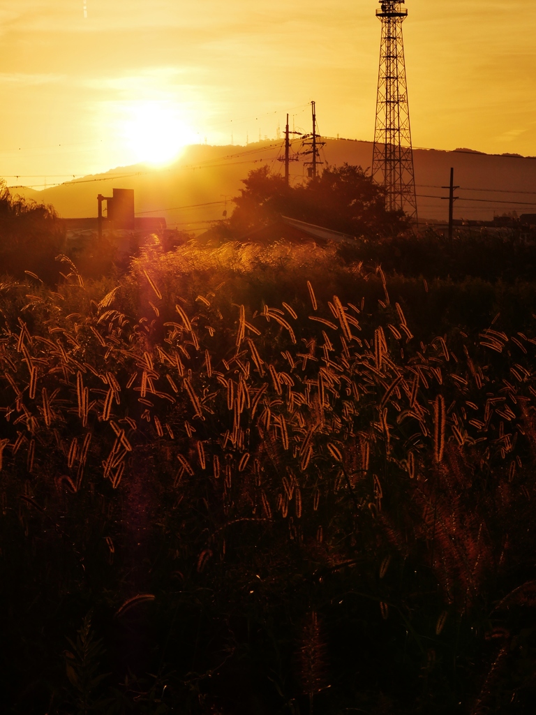 夕日