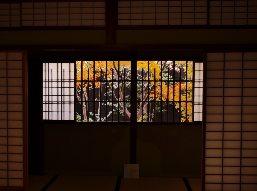 晩秋のならまち 1