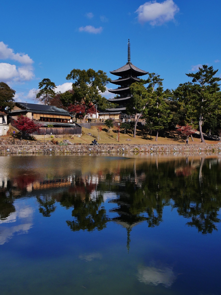 興福寺・五重塔 1