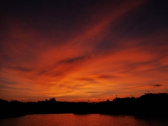 残照の夕空4