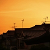 夕焼けに染まる・・。1
