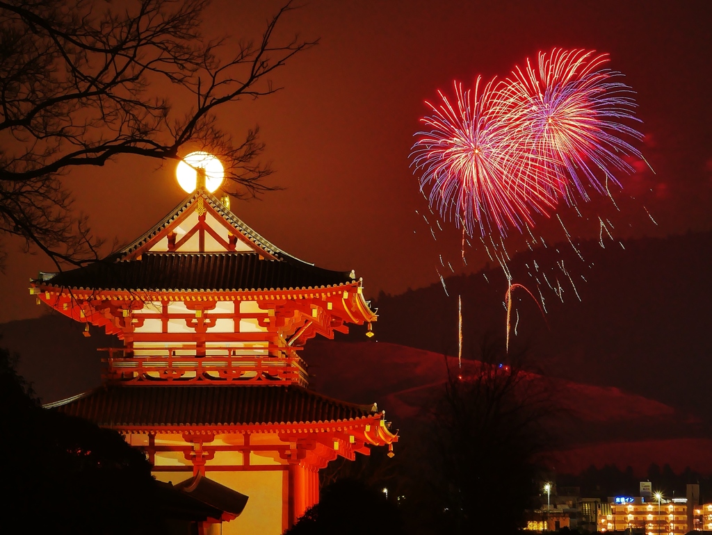 奈良公園バースディ花火2