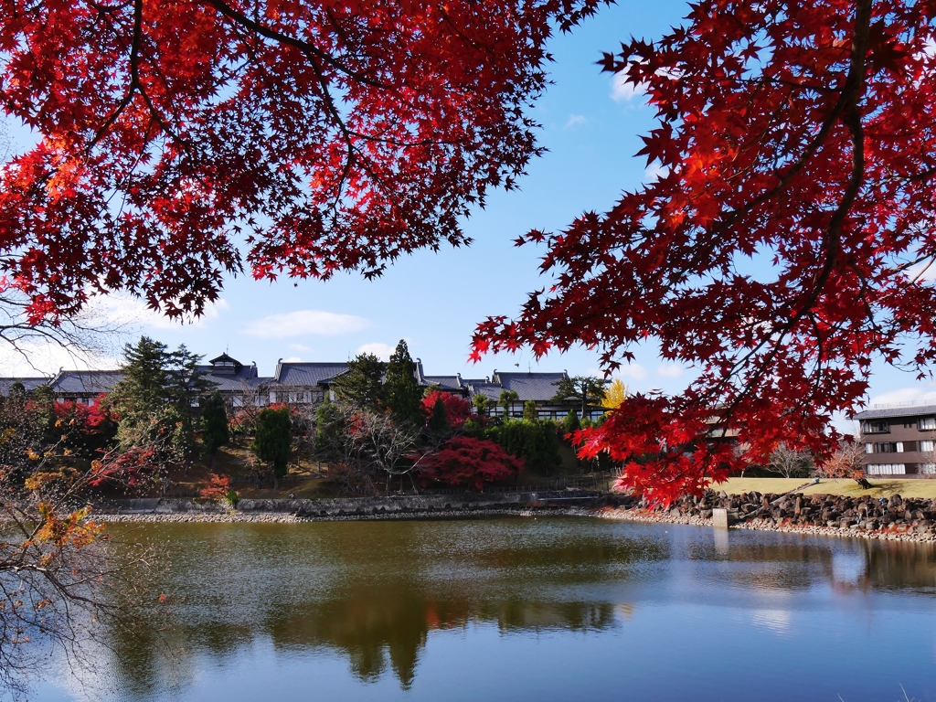 奈良ホテル紅葉遠景