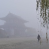 朝霧の平城京2