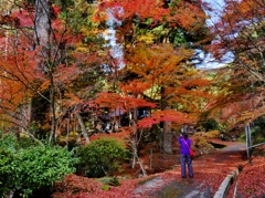 丹波篠山・高蔵寺の紅葉 2