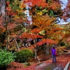 丹波篠山・高蔵寺の紅葉 2