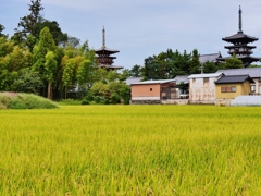 秋の奈良西ノ京・薬師寺