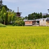 秋の奈良西ノ京・薬師寺